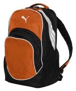 Puma Team Formation Ball Backpack