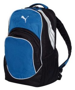 Puma Team Formation Ball Backpack